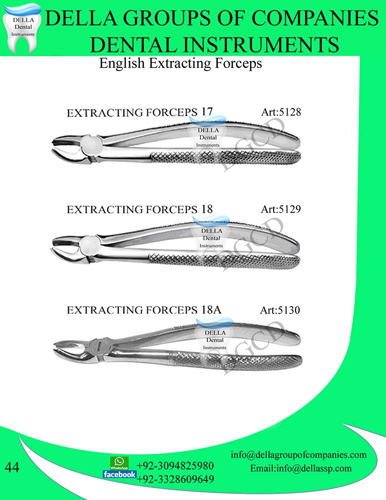 English Extracting Forceps